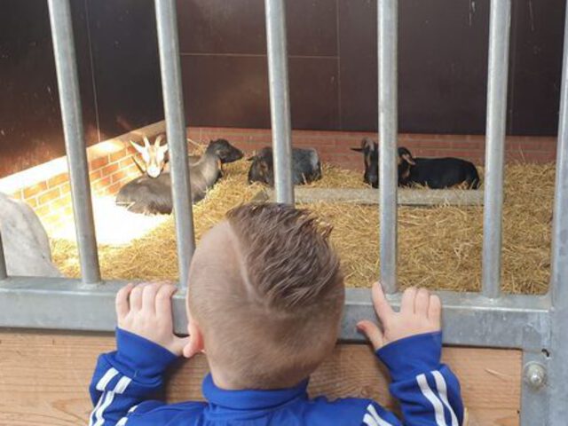 Samenwerking met de Dierenborg